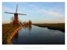 winter in kinderdijk.jpg